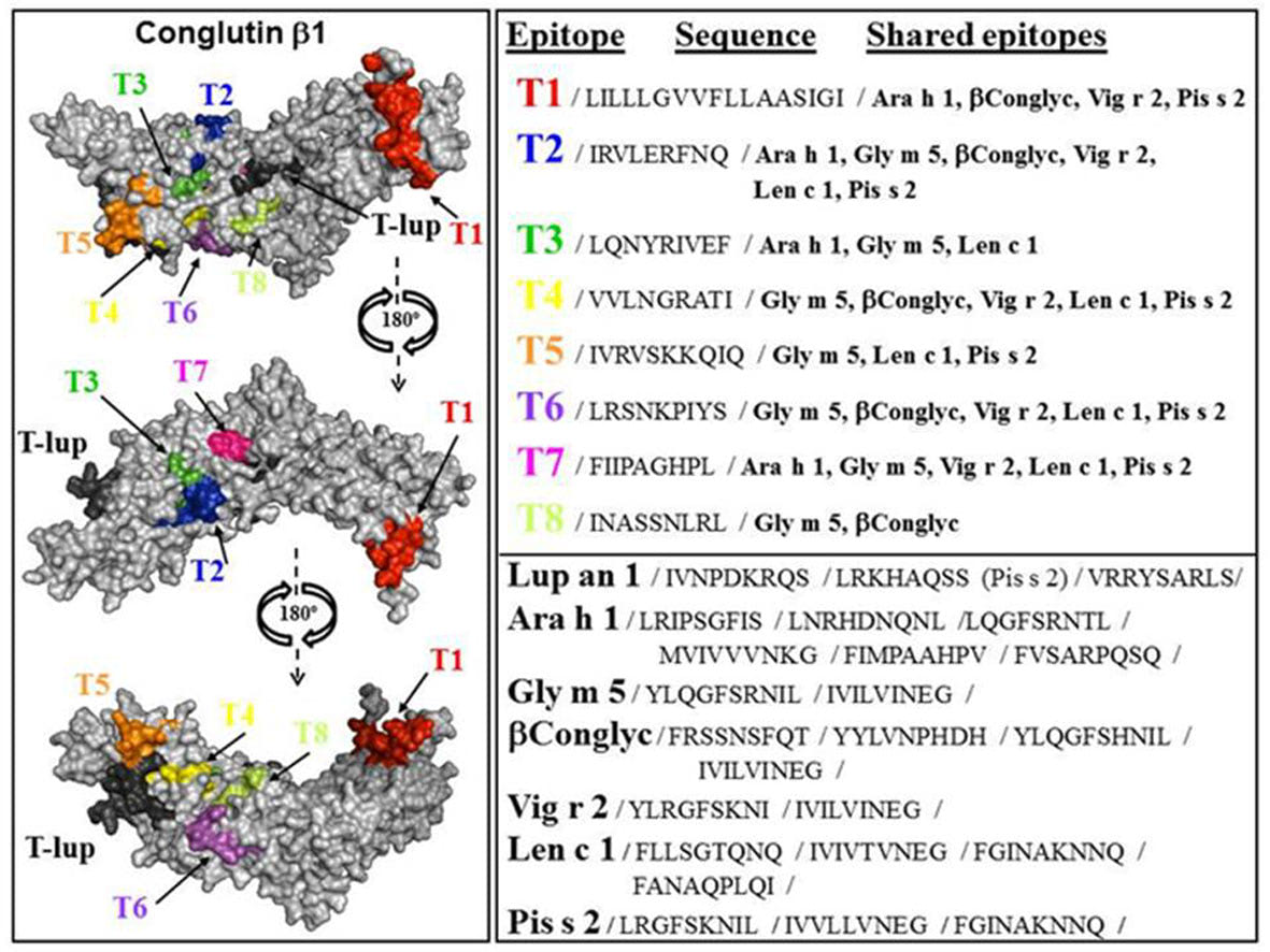 Figure Allergy Paper