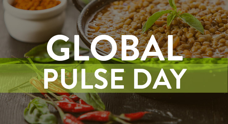 global-pulse-day-header