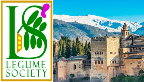 4th International Legume Society Conference, which will be held between the 18th and 21st of October 2022