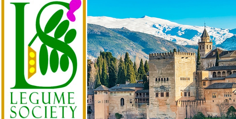 4th International Legume Society Conference (19th and 22nd of september 2023)